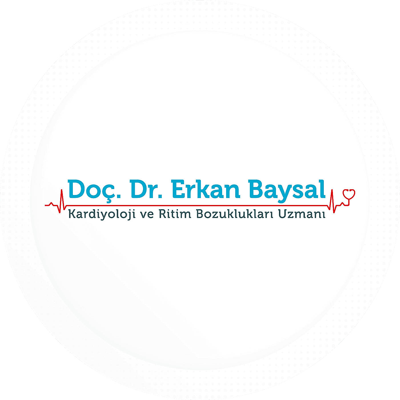 erkan baysal logo tasarimi logo